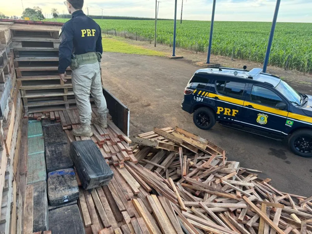 Com ajuda de cão farejador, PRF apreende mais de uma tonelada de maconha em Caarapó