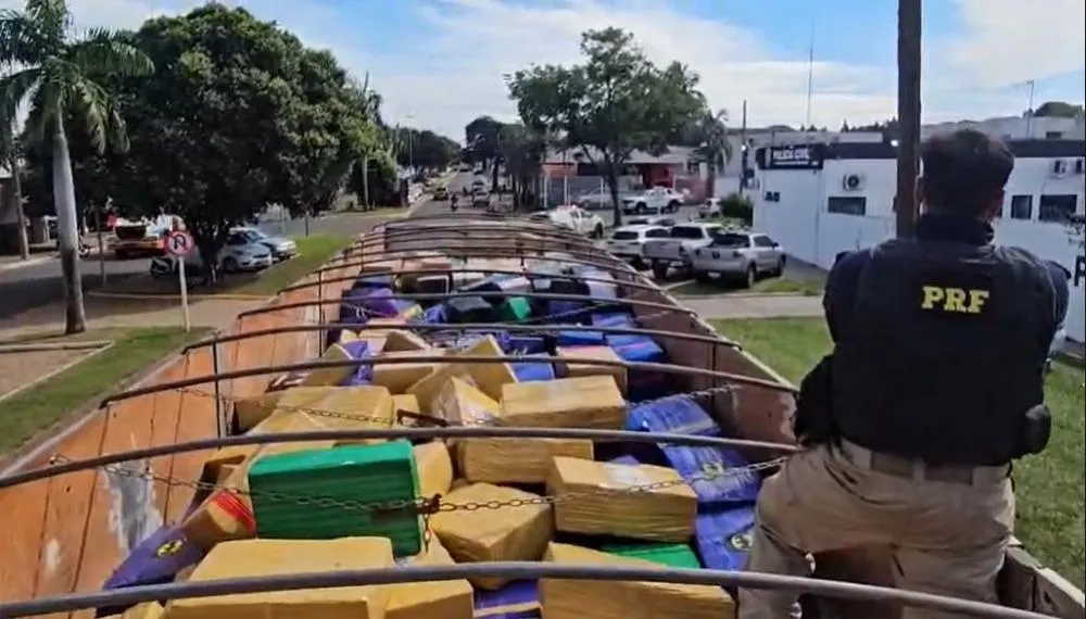 PRF apreende mais de 8 toneladas de maconha na BR 163 em Naviraí