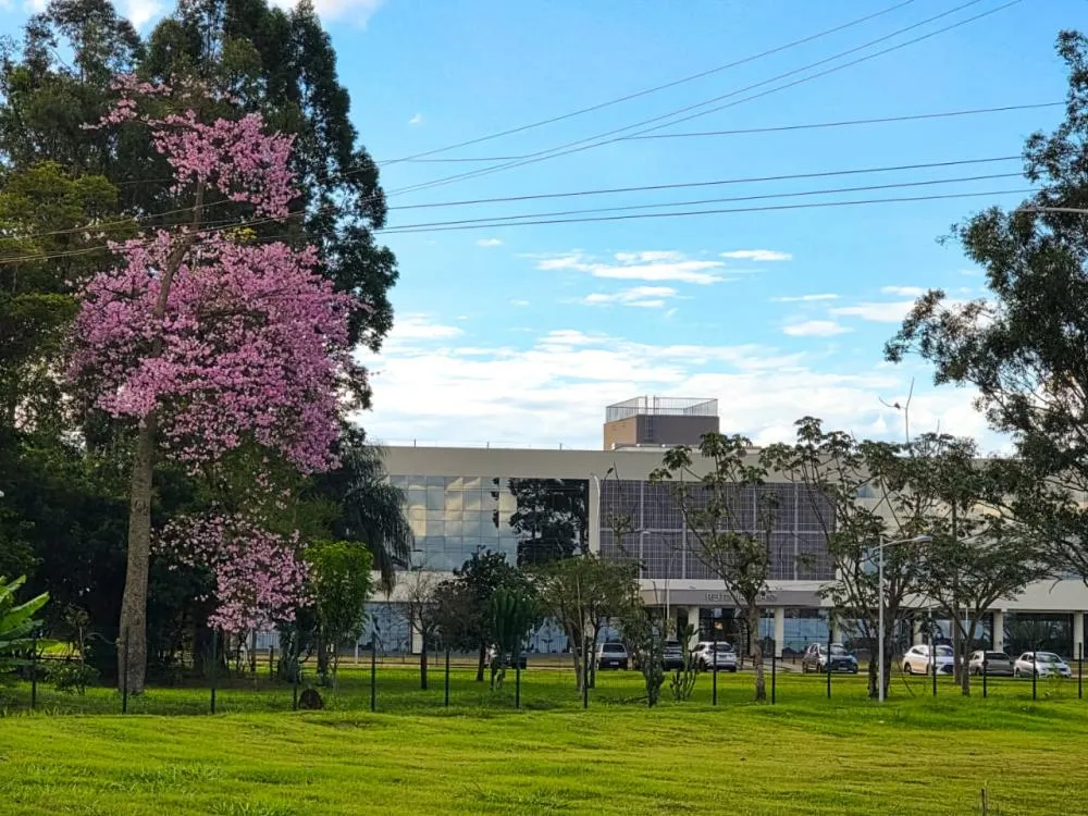 Estudantes da UFGD cobram assistência médica no campus após morte de universitário em Dourados