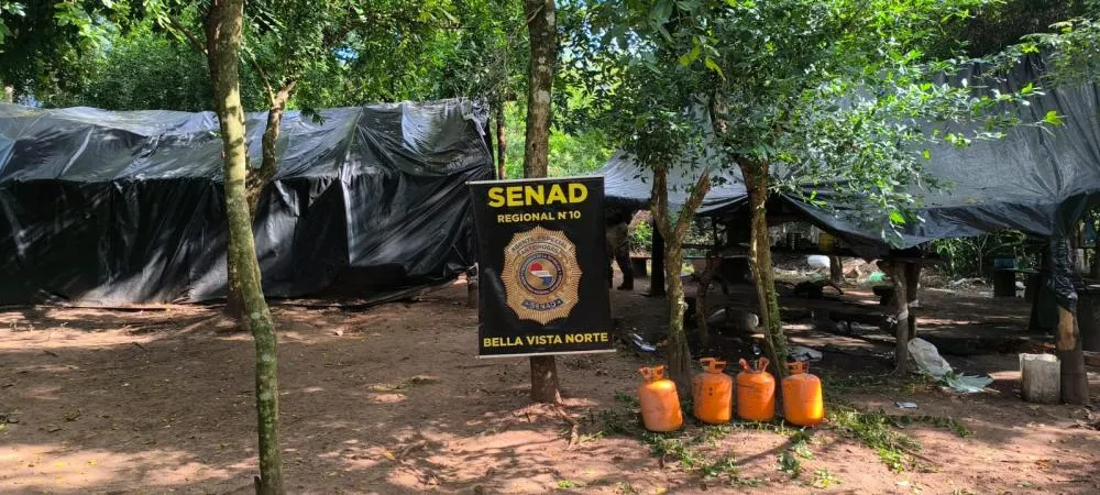 SENAD desmantela estrutura de produção de maconha em área ambiental na fronteira