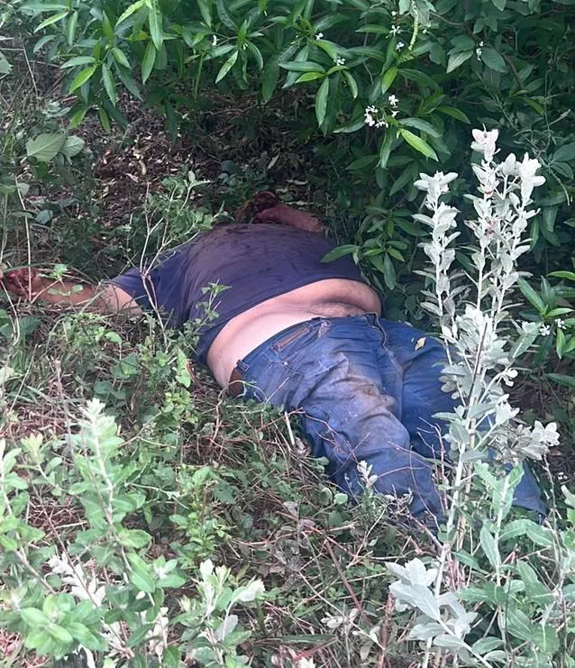 Homem é morto com tiro na cabeça em propriedade rural na fronteira 