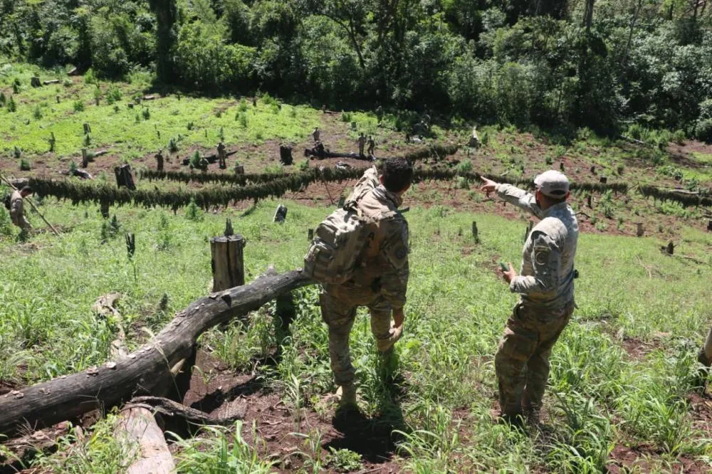  Brasil e Paraguai continuam combate ao tráfico de drogas na fronteira