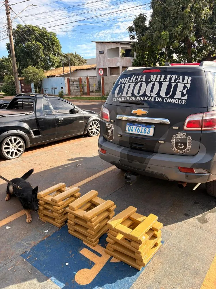 Cão do Batalhão de Choque localiza 46 kg de maconha em transportadora de Campo Grande